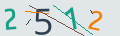 verifycode